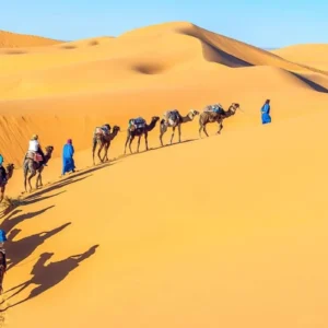 15 Days Egypt Tour to Cairo, Alexandria, Hurghada and Nile Cruise (1)