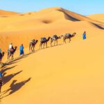 15 Days Egypt Tour to Cairo, Alexandria, Hurghada and Nile Cruise