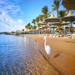14 Day Cairo, Hurghada, Nile Cruise, Balloon and Abu Simbel (7)