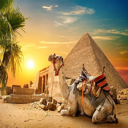 5 Day Cairo, Luxor, Edfu, Kom Ombo, Aswan and Abu Simbel (2)