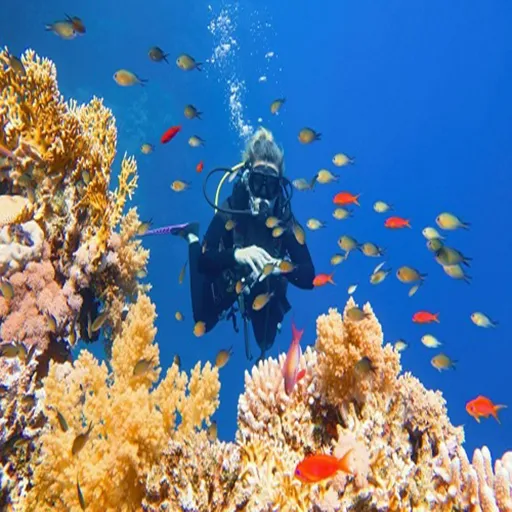 9 Day Cairo, Nile Cruise and Hurghada (2)
