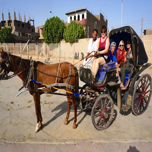 Aswan City Tour in Horse Carriage (2)
