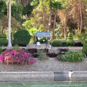 Aswan Botanical Garden 11