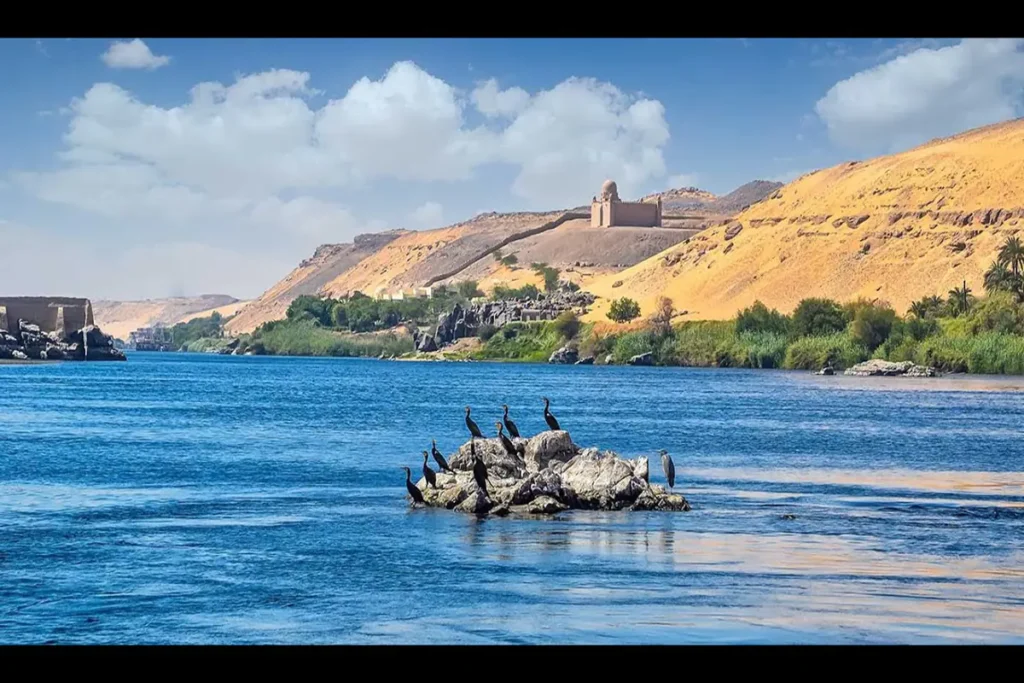 Avistamiento De Aves en Aswan