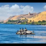 Bird Watching Tour in Aswan (1)