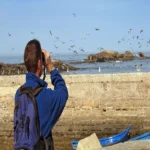 Bird Watching Tour in Aswan (4)