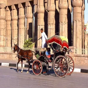Luxor City tour by Horse Carriage (1)