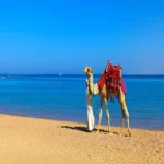 Luxor overnight Tour from Hurghada (6)