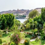 Private day tour to The Botanic Gardens and Botanical Museum (2)