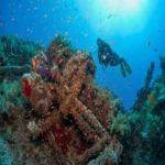 Scuba diving Marsa Alam (3)