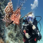 Scuba diving Marsa Alam (4)