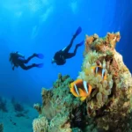 Scuba diving Marsa Alam (5)