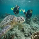 Scuba diving Marsa Alam (6)