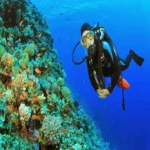 Scuba diving Sharm El Sheikh (6)