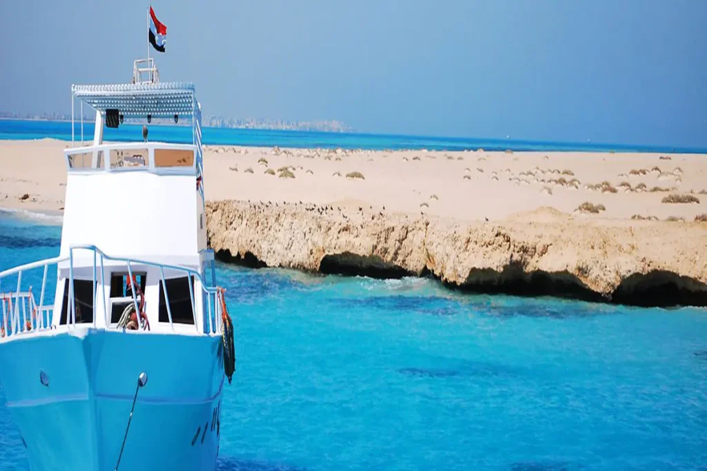 Snorkeling Trip & Excursion from Safaga Port (1)