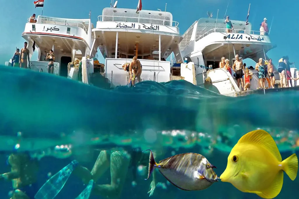 Snorkeling Trip at Hamata Islands From Marsa Alam (1)