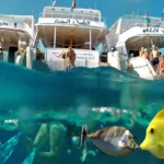 Snorkeling Trip at Hamata Islands From Marsa Alam (1)