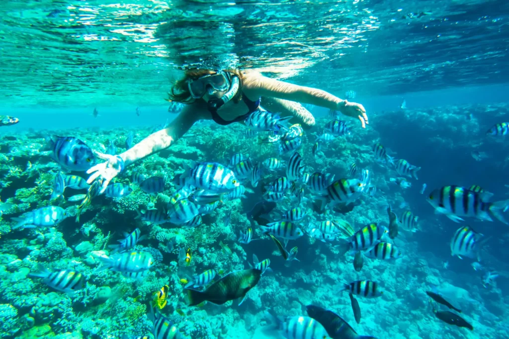 Snorkeling at Mahmya Island (1)