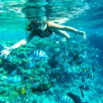 Snorkeling at Mahmya Island (1)