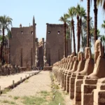 Cruise From Luxor To Abu Simbel Cruise Era (8)
