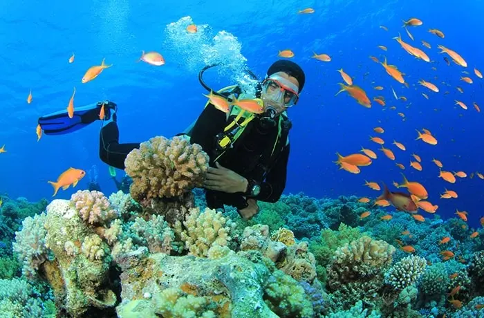 Marsa Alam Tours