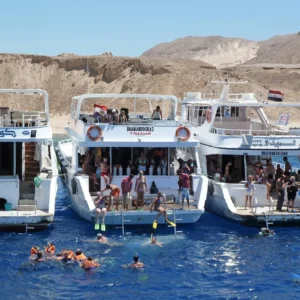 Sharm El Sheikh Tours