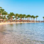 3 Weeks Egypt Holiday Package Cruise Era (1)