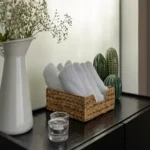 Farah-Nile-Cruise-cruise-era (45)