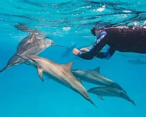 Marsa Alam Trips
