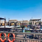 Nile Dolphin Cruise Era (10)