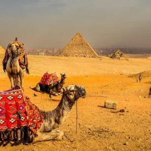 Port Said to Pyramids of Giza and Sakkara Cruise Era (1)